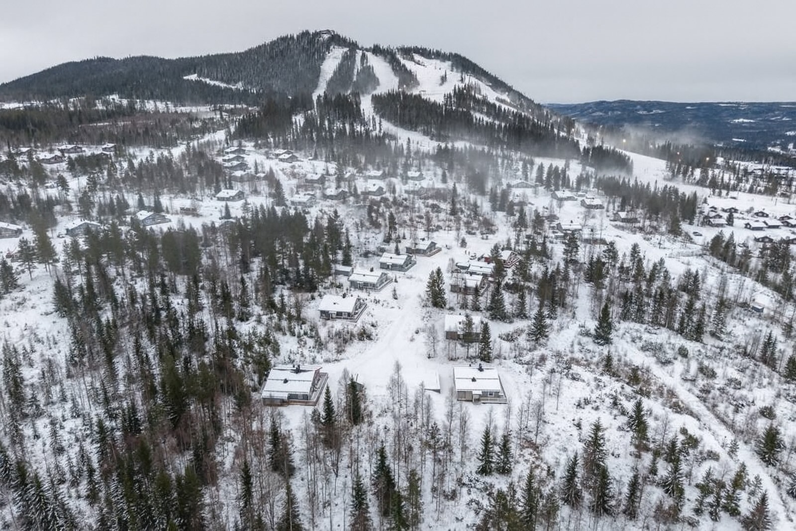 Vintervit skog i Kläppen, snö och tallar